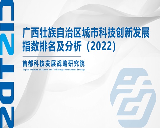 日美爱欲荡乳【成果发布】广西壮族自治区城市科技创新发展指数排名及分析（2022）